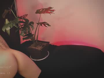 girl Live Porn On Cam with abril__colen